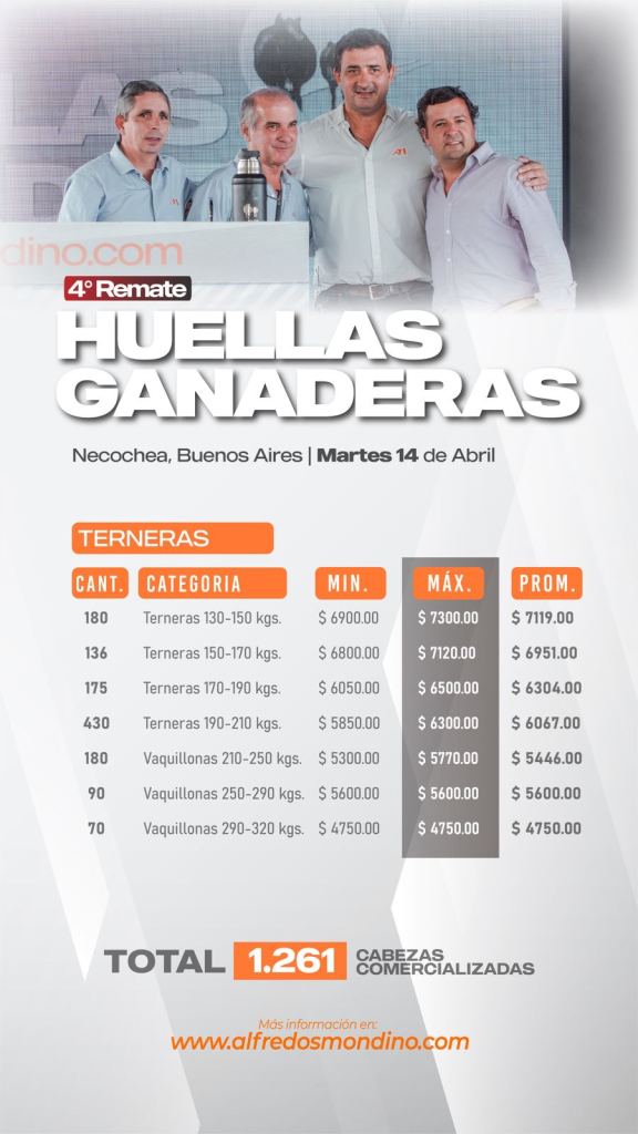 Resultado Terneras- Huellas Ganaderas