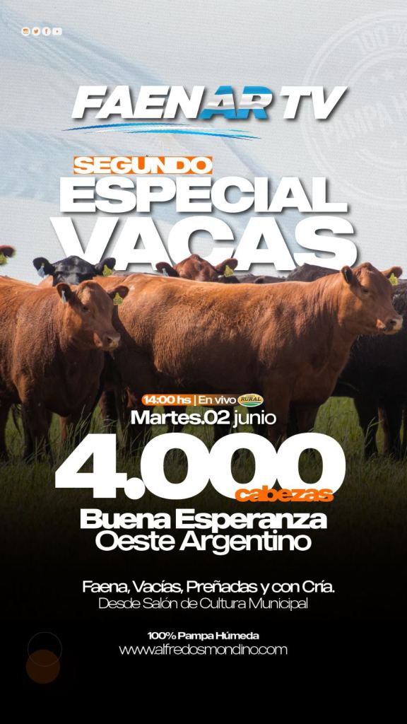 Especial Vacas – Buena Esperanza