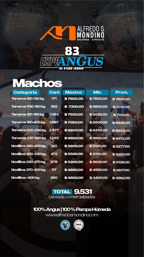 Resultado Machos- Angus- 20 de mayo