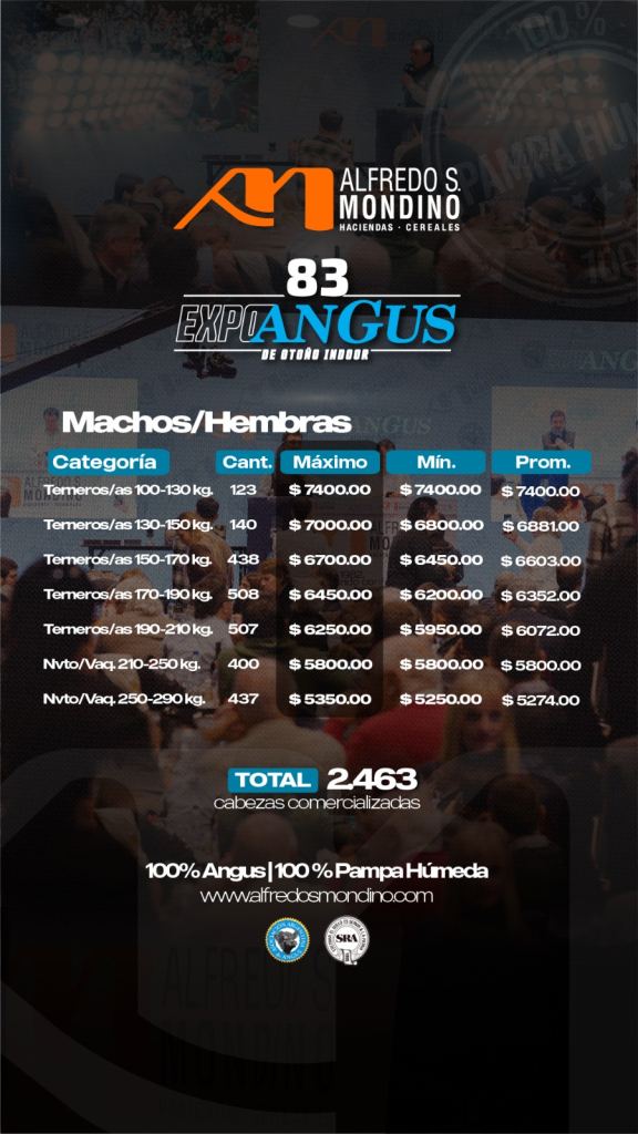 Resultado machos y hembras- Angus- 20 de mayo