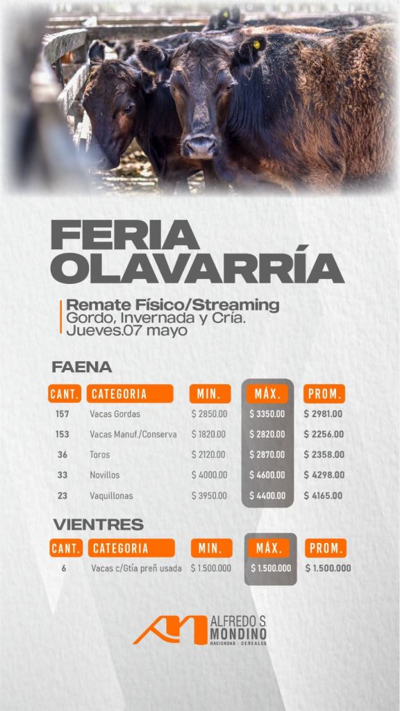 Resultado Faena- Vientres- Feria de Olavarría