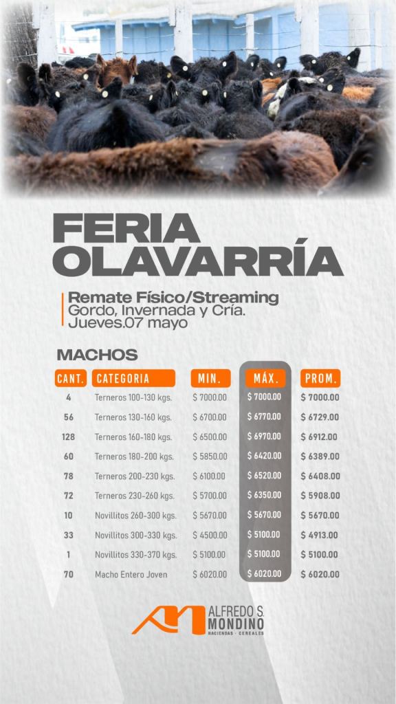 Resultado Machos- Feria Olavarría