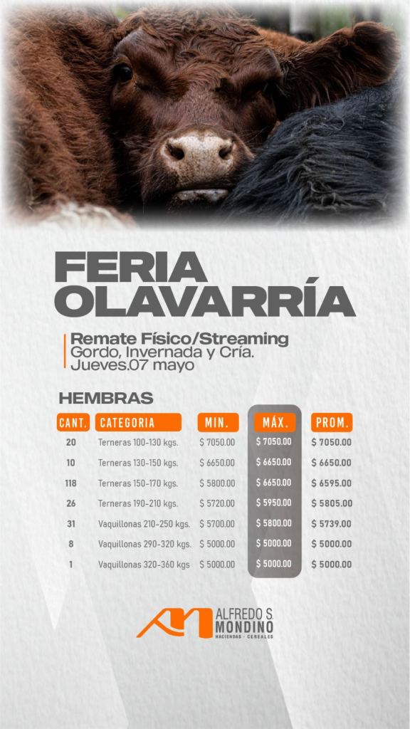 Resultado Hembras- Feria Olavarría