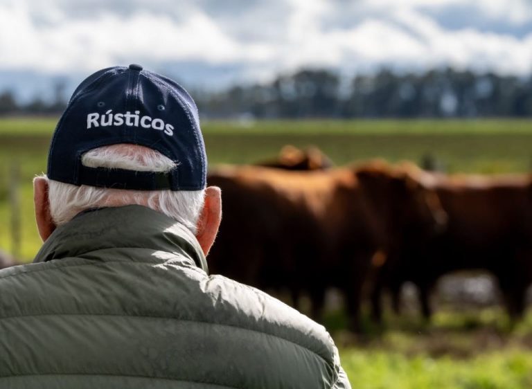 Día de Campo Rústicos Premium 2026