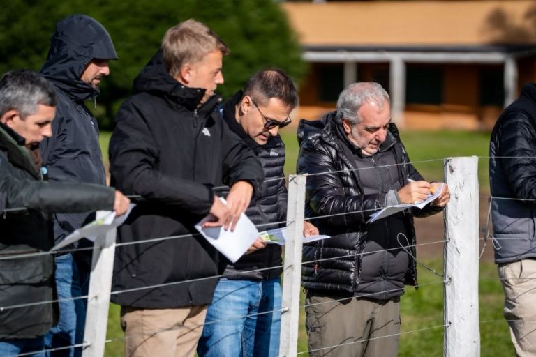 Día de Campo Rústicos Premium 2026
