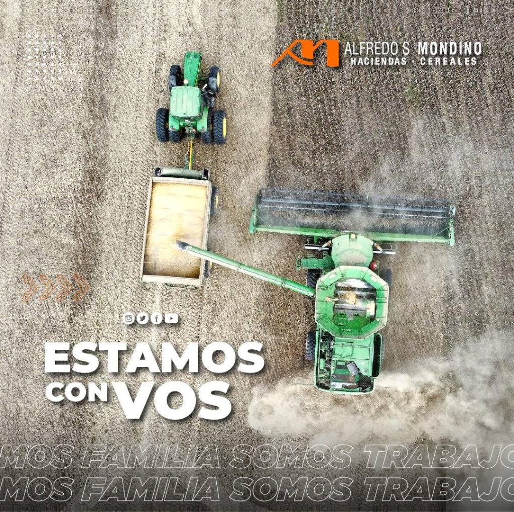 Estamos con vos