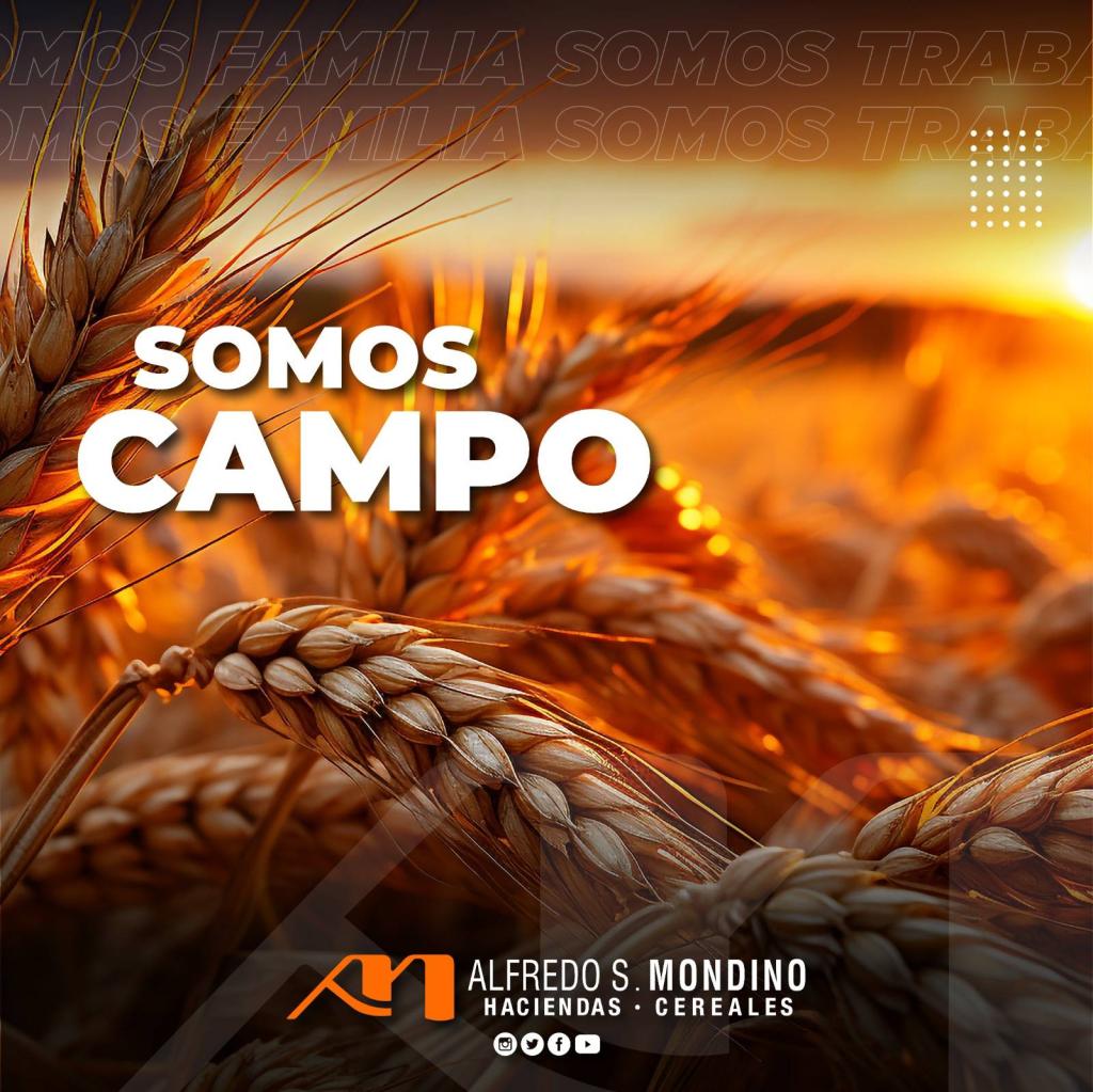 Somos Campo