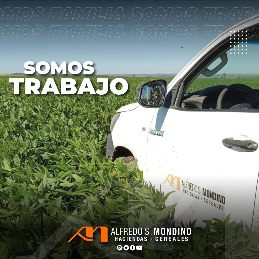 Somos Trabajo