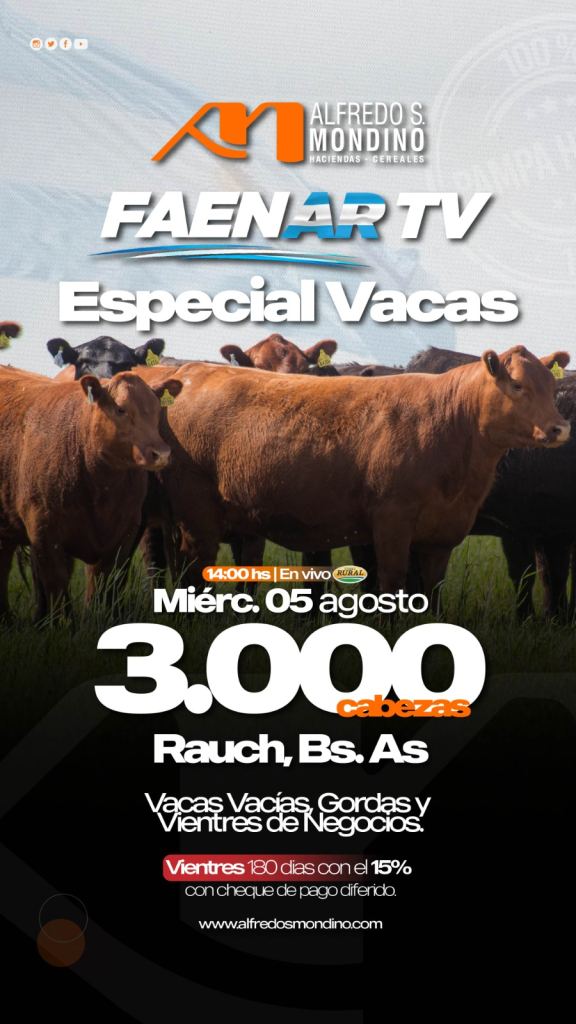Especial Vacas
