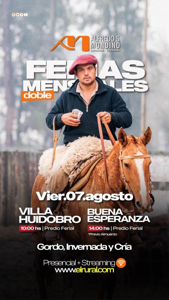 Ferias Mensuales- Villa Huidobro- Buena Esperanza