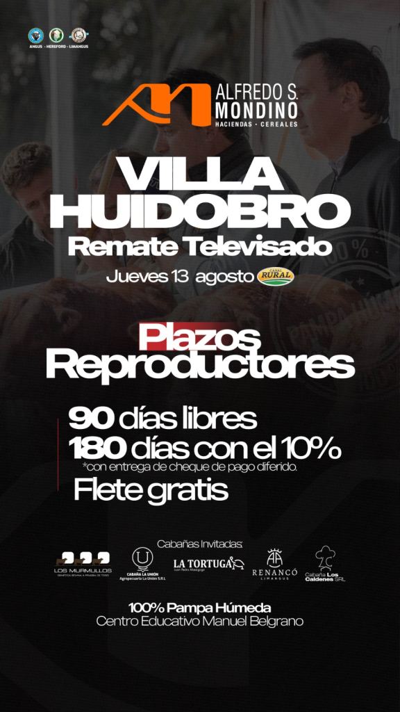 Remate Televisado- Villa Huidobro