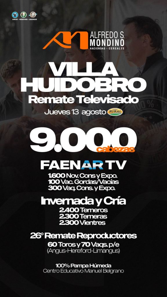 Remate Televisado- Villa Huidobro