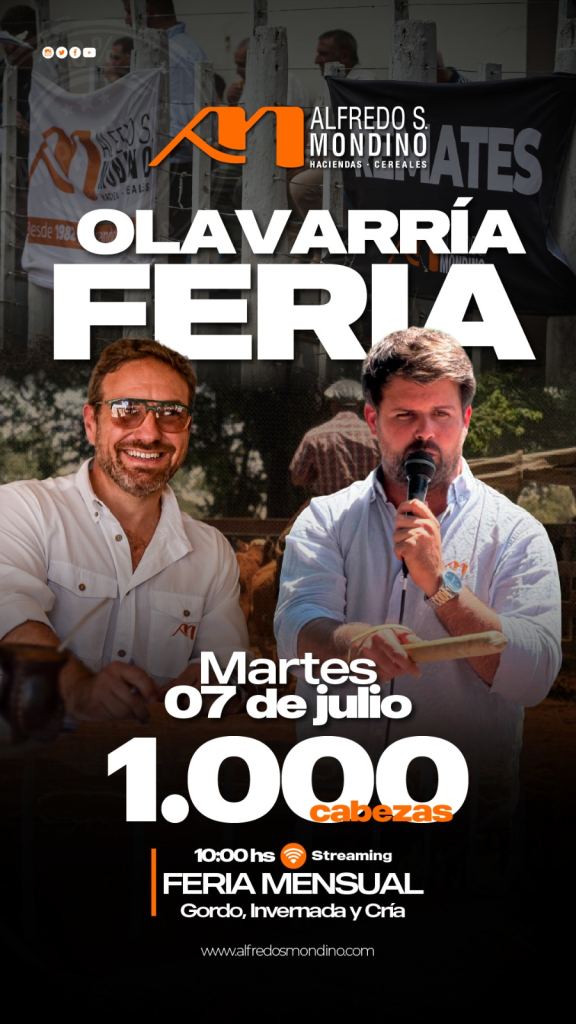 Feria Mensual de Olavarría