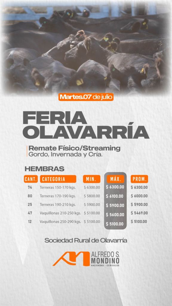 Resultado Hembras- Feria Olavarría-7de julio