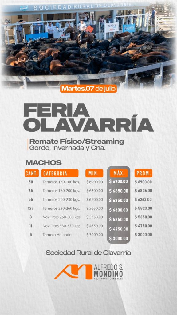 Resultado Machos- Feria Olavarría-7 de julio