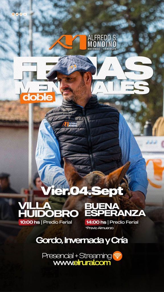 Ferias Mensuales Villa Huidobro-Buena Esperanza