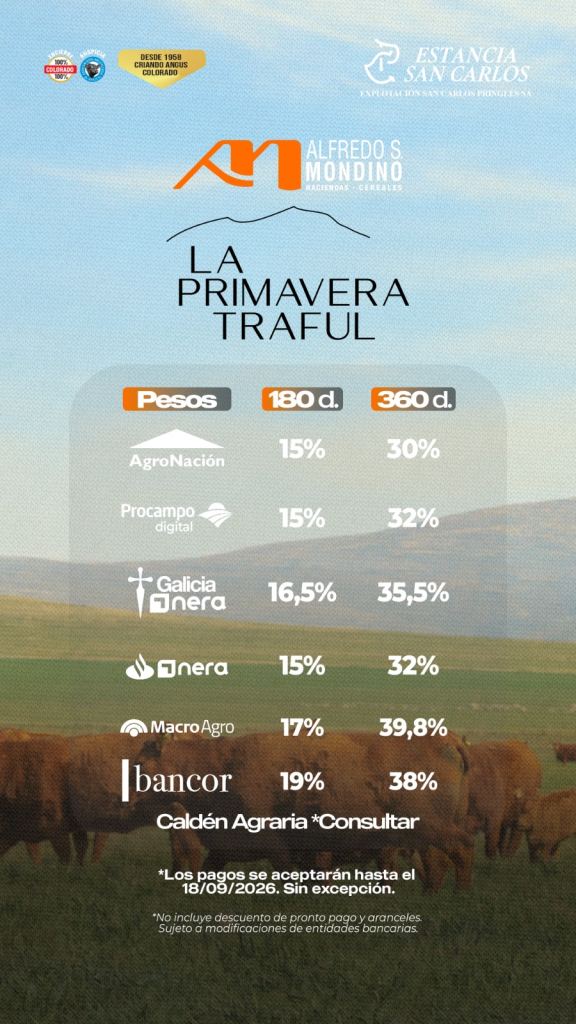 La Primavera Traful