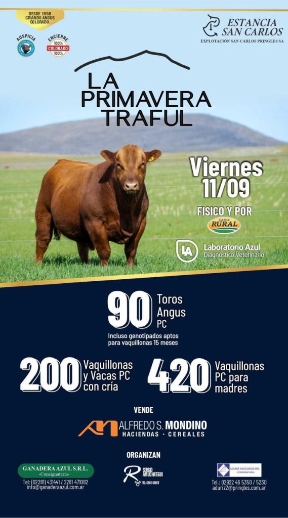 La Primavera Traful
