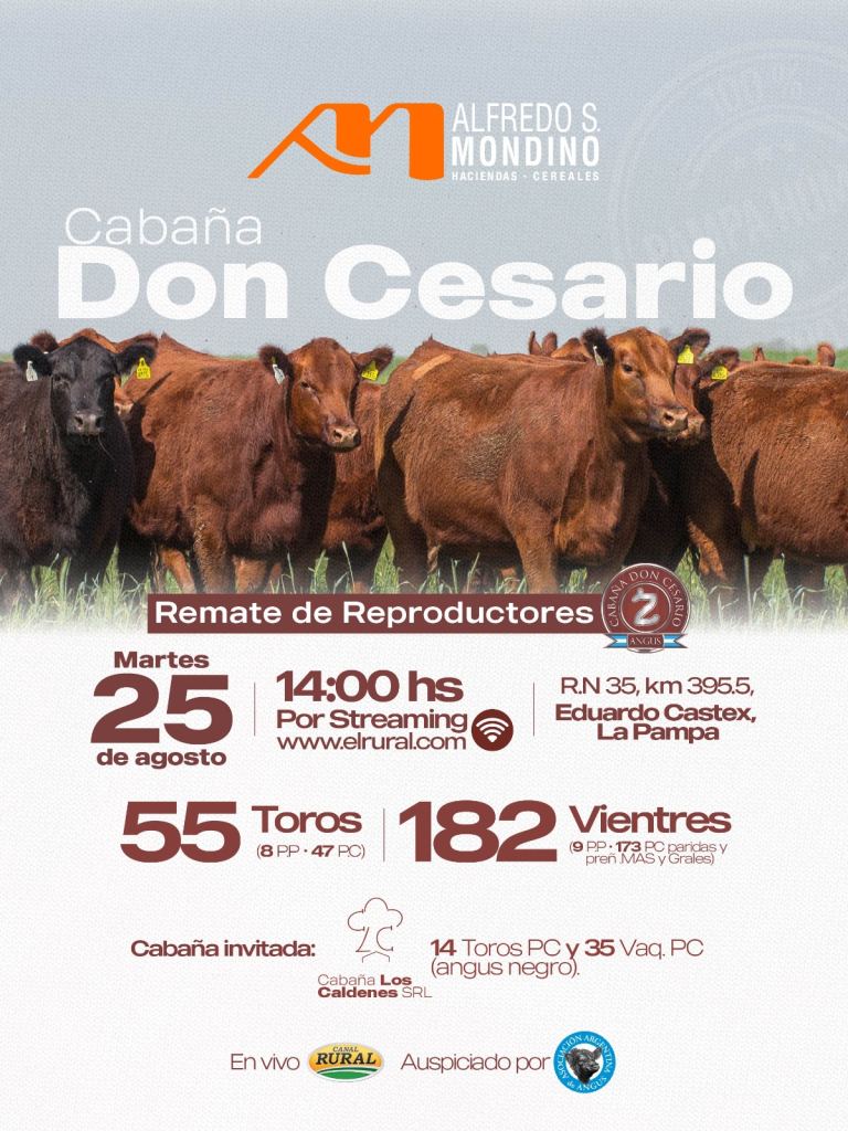 Cabaña Don Cesario