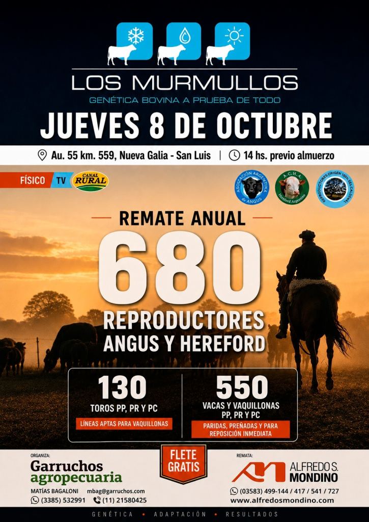 Remate Anual Los Murmullos