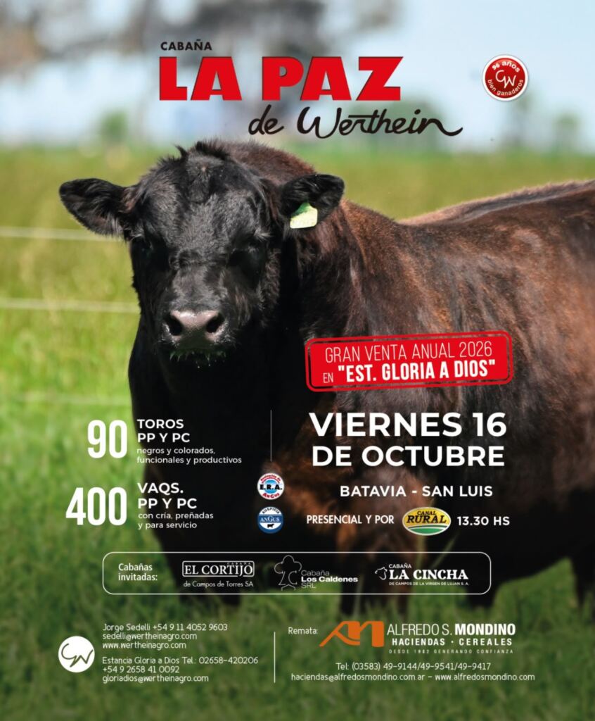 11va Venta Anual La Paz de Werthein