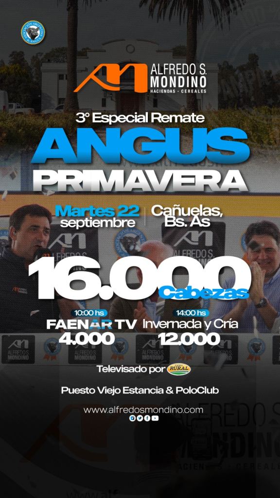 3° Especial Angus Primavera