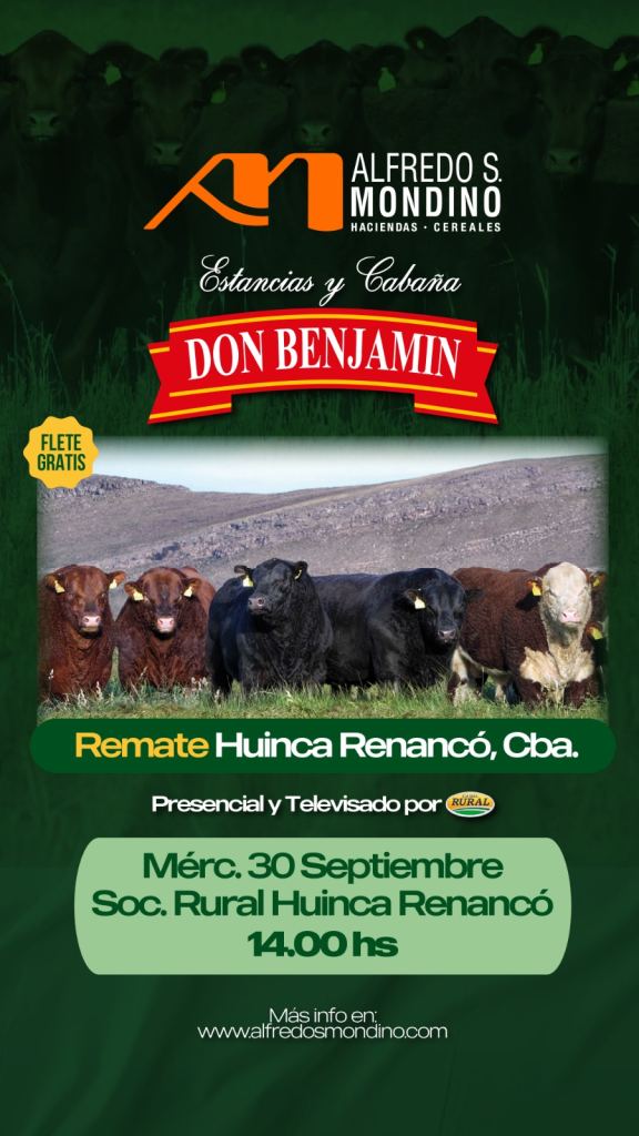 Remate Huinca Renancó