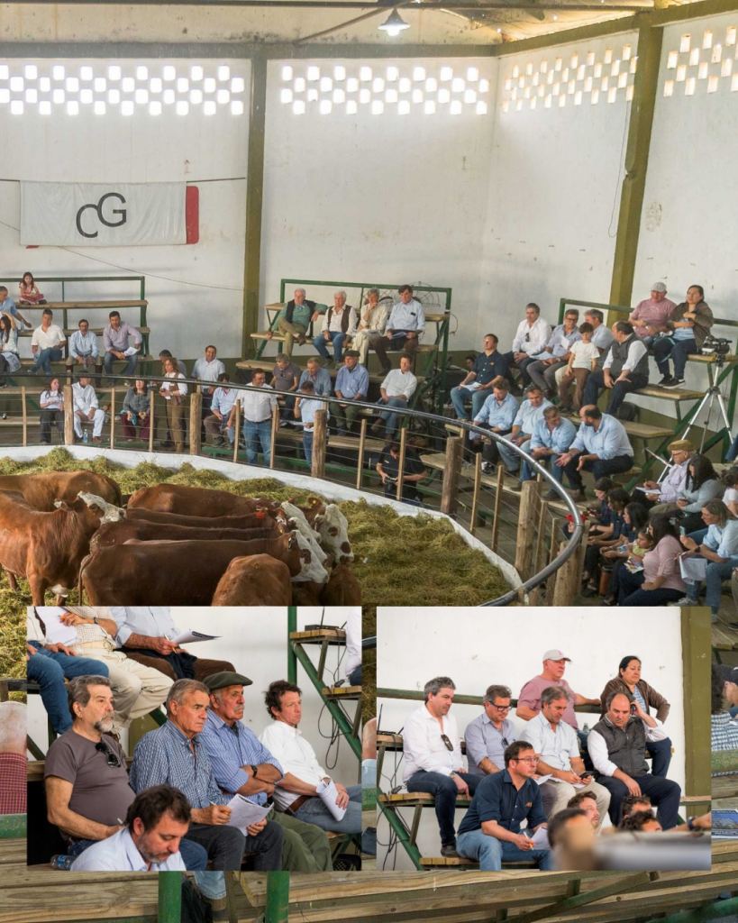 ¡GRACIAS COMPAÑÍA GENERAL DE HACIENDA!