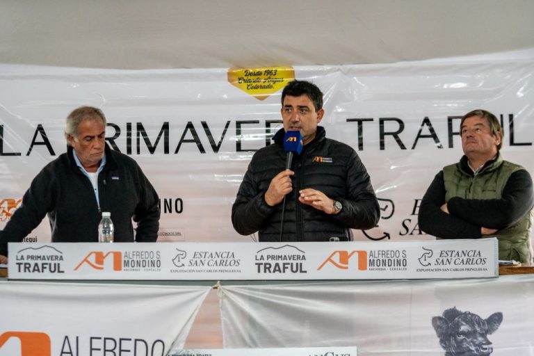 Fotos del Remate La Primavera Traful