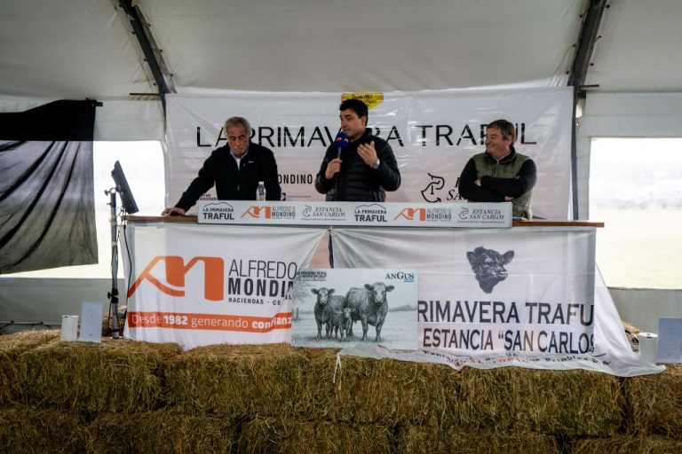 Fotos del Remate La Primavera Traful