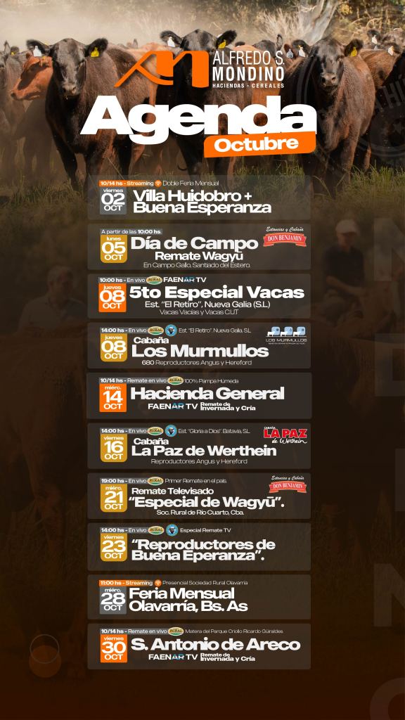 agenda