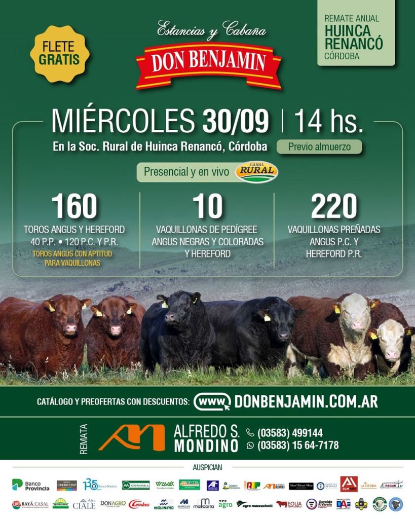 Remate Huinca Renancó