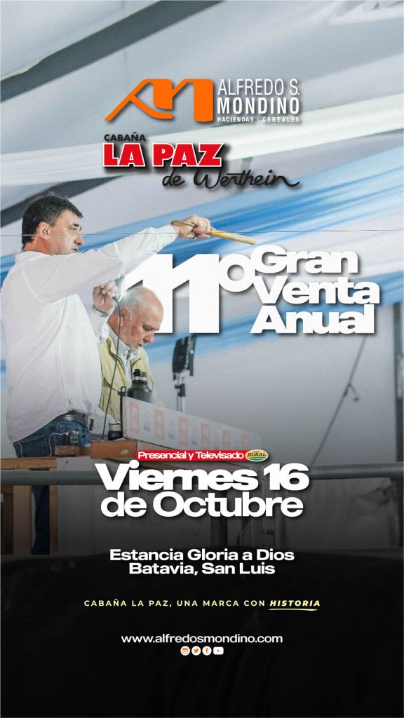 11va Venta Anual La Paz de Werthein