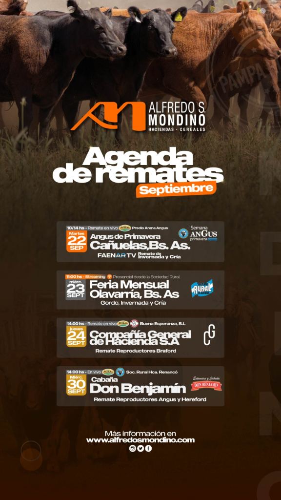 Agenda