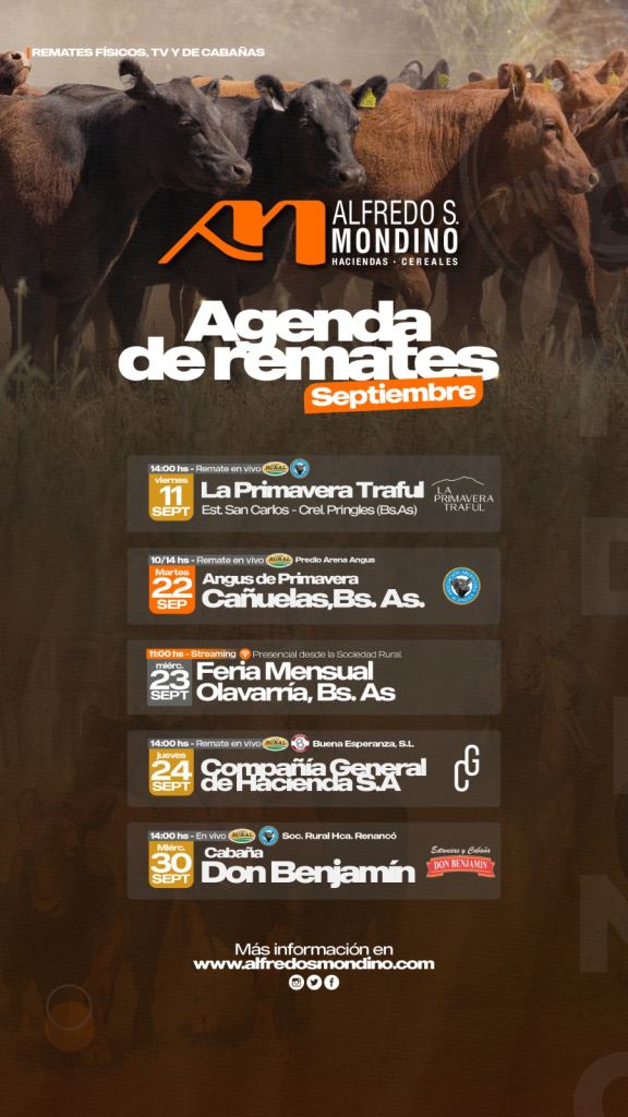 Agenda
