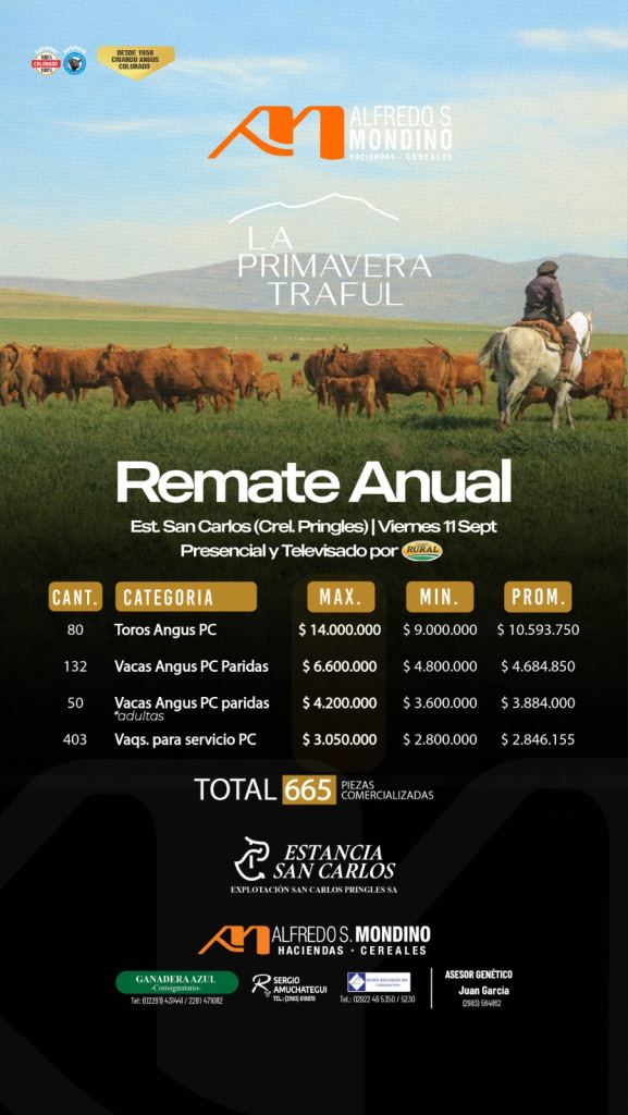 Resultado Remate Primavera Traful