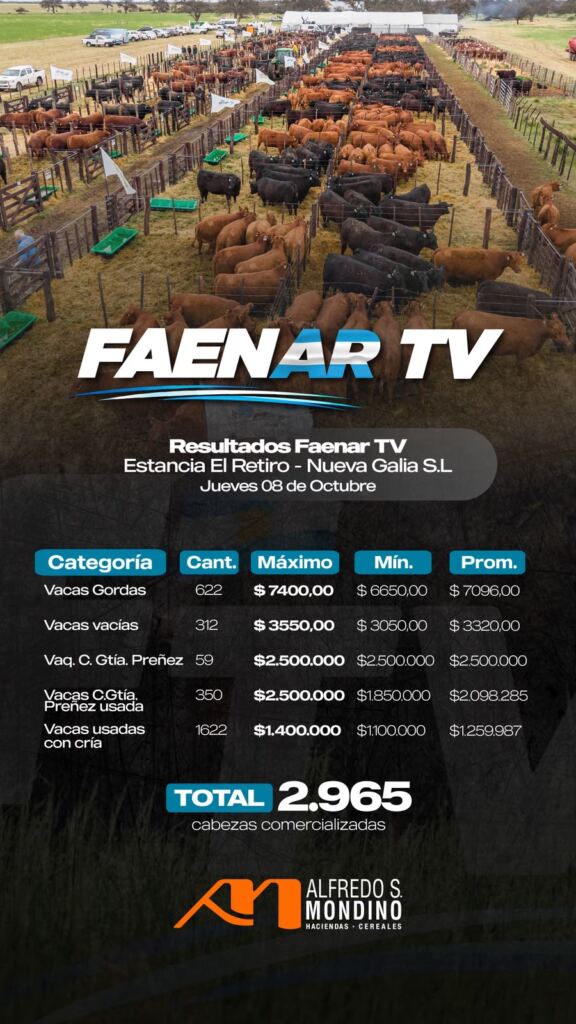 Resultado Faenar 8 de octubre