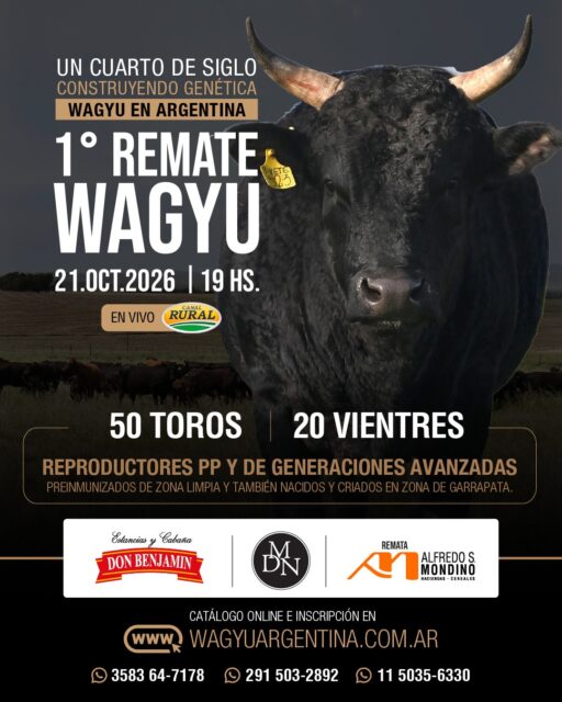 ¡UN REMATE QUE HACE HISTORIA! 🔨🇦🇷 25 años construyendo genética Wagyu en&hellip;