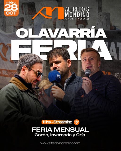 🇦🇷 Alfredo S. Mondino 🇦🇷 📍 ¡NOS ENCONTRAMOS EN OLAVARRÍA! Una nueva&hellip;