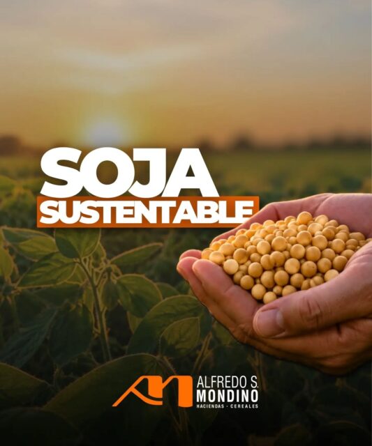 🌱 TU SOJA PUEDE VALER MÁS. En Alfredo S. Mondino seguimos impulsando&hellip;