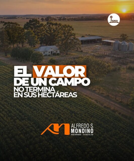 Un campo son hectáreas. Pero su valor es mucho más que eso.&hellip;