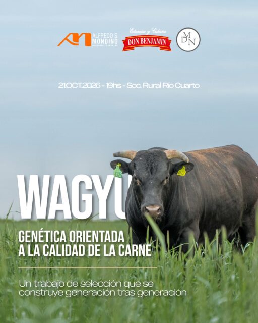 🇦🇷 GENÉTICA QUE SE CONSTRUYE. CALIDAD QUE TRASCIENDE. Detrás de la raza&hellip;