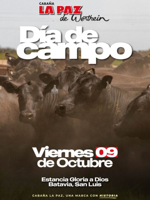 ¡Hoy! 🐮🙌🇦🇷