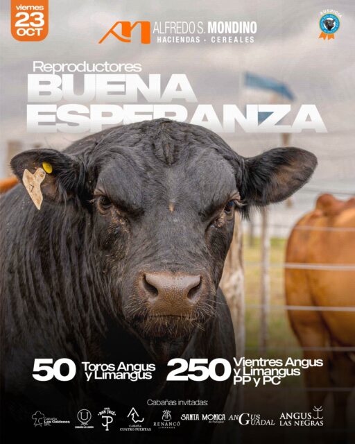 🐂 ¡REPRODUCTORES EN BUENA ESPERANZA! Nos encontramos para compartir una nueva jornada&hellip;