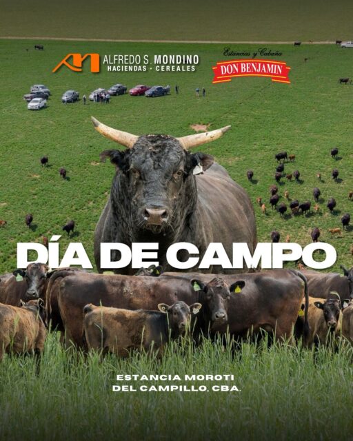 RESUMEN DEL DÍA DE CAMPO EN DEL CAMPILLO 💪🏼 Junto a Cabaña&hellip;