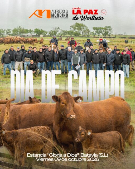 ¡DÍA DE CAMPO! 🙌 📍 Cabaña “La Paz de Werthein” Así pasó&hellip;