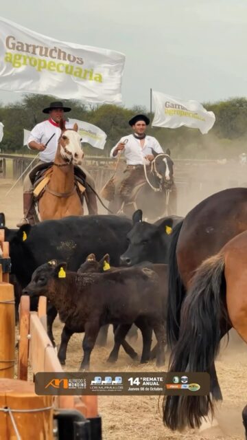 🇦🇷 Alfredo S. Mondino 🇦🇷 Cabaña Los Murmullos Jueves 08 de octubre.&hellip;
